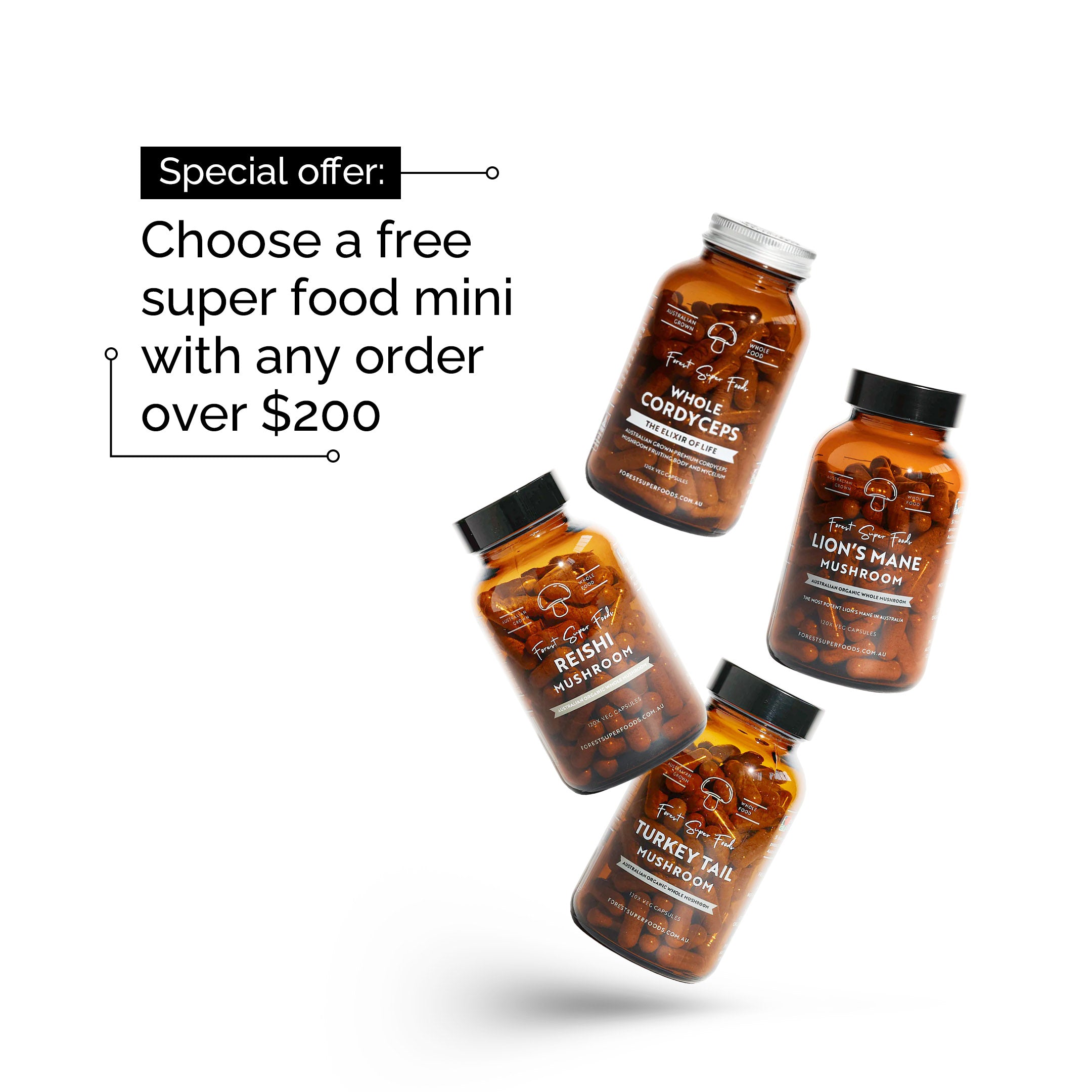 Australian Grown Mushroom Bundle