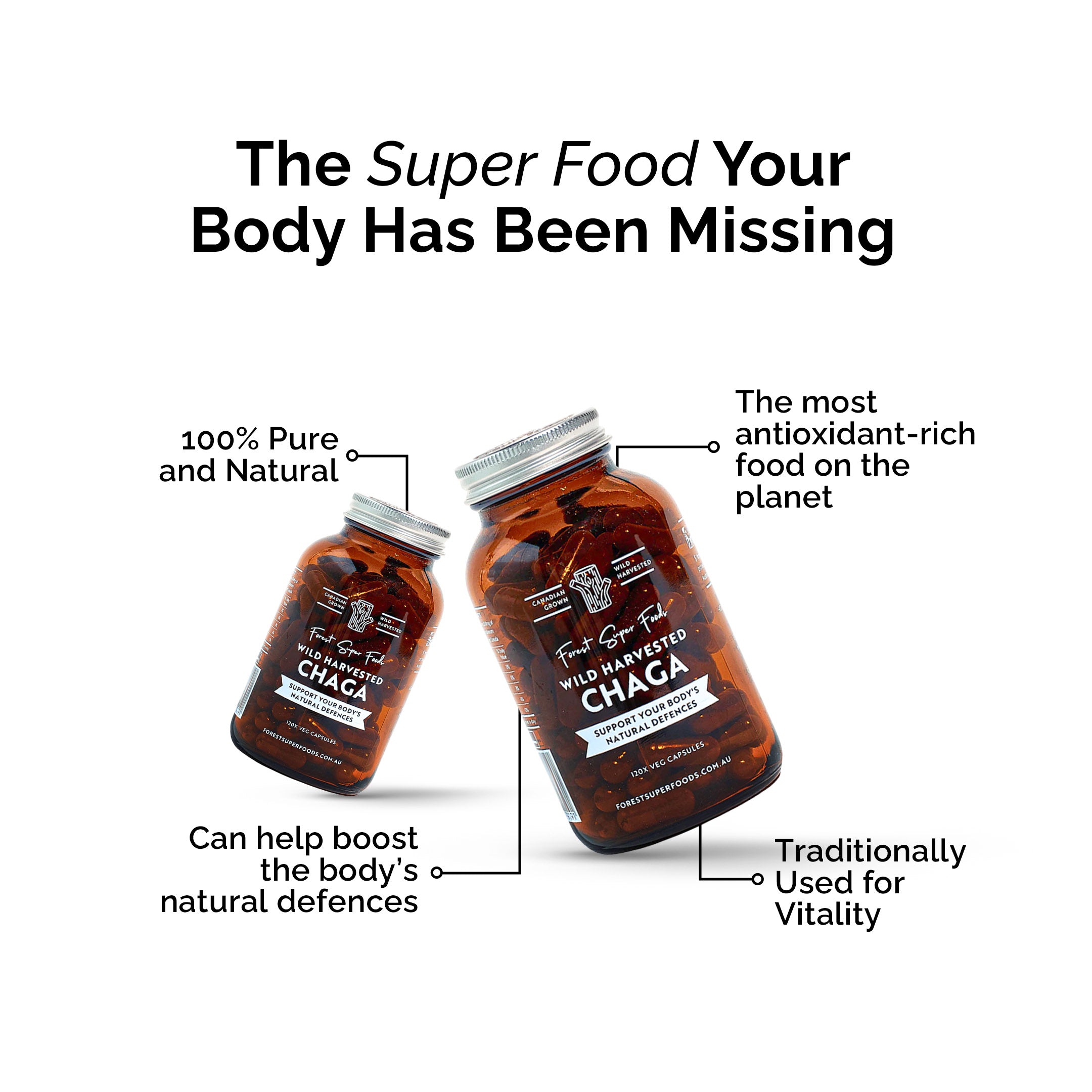 Wild Chaga Mushroom (Canada)