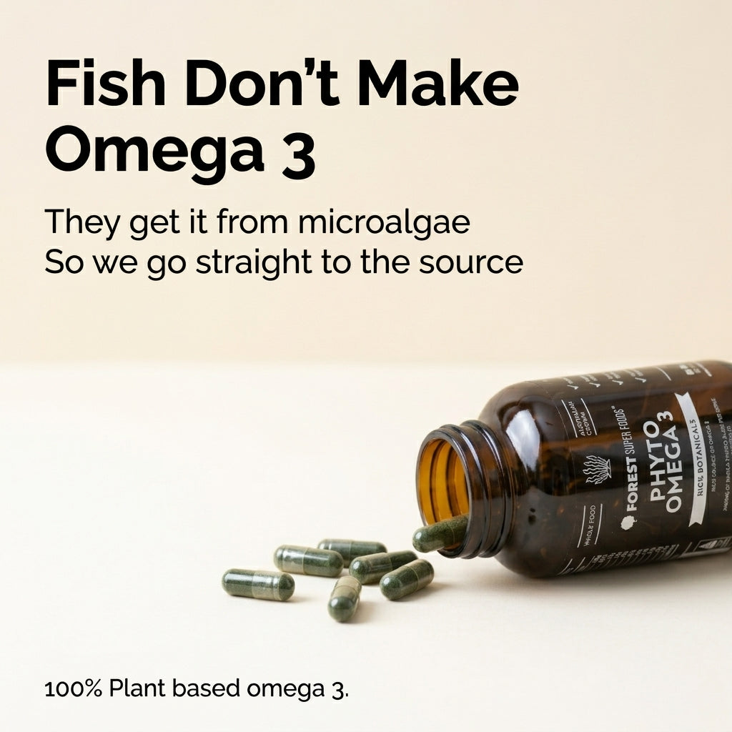 Phyto Omega 3