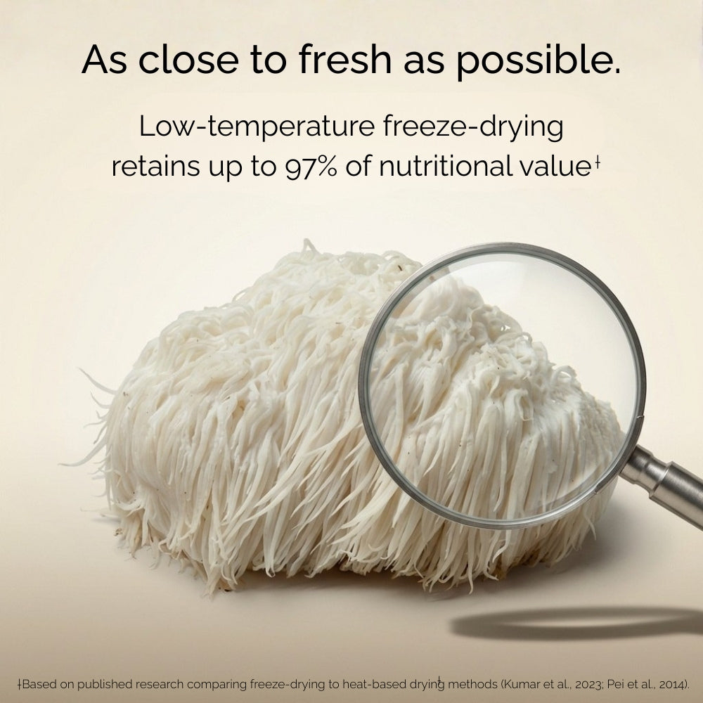 Australian Grown Lions Mane Mushroom Capsules