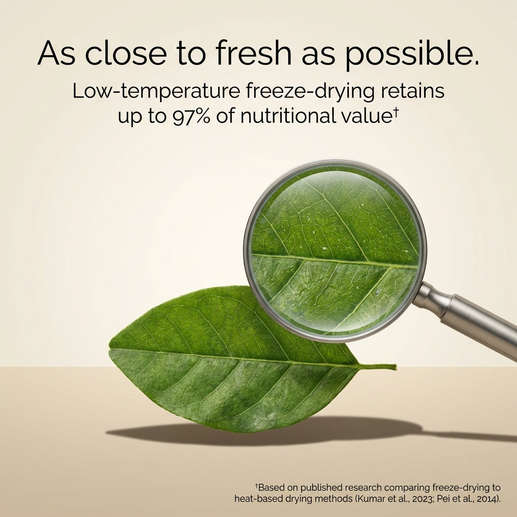 Organic Moringa Capsules