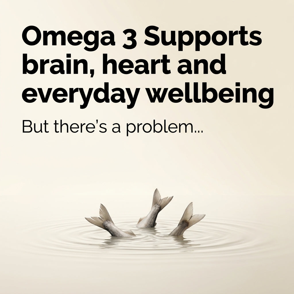 Phyto Omega 3